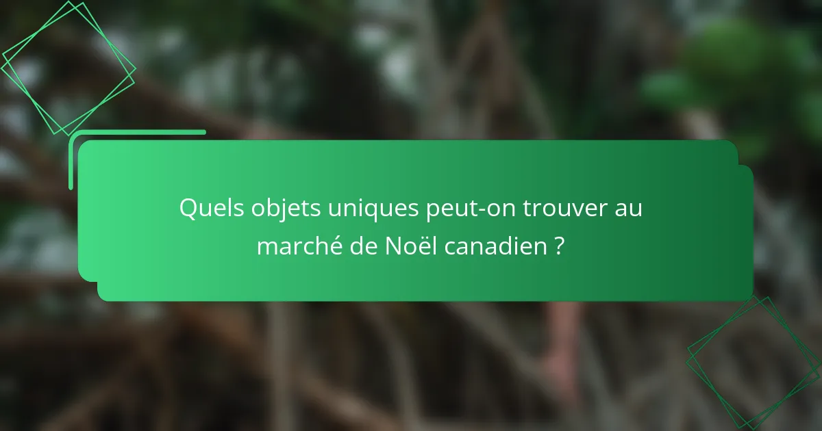 Quels objets uniques peut-on trouver au marché de Noël canadien ?